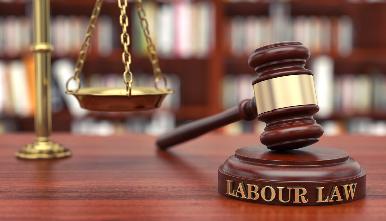 Understanding Employee Rights: Insights from a Labour Lawyer